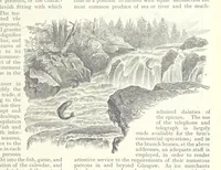 An illustration from Glasgow and it Environs. A literary, commercial and social review past and present ... With illustrated ... tour in the Highlands (1891)