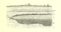 An illustration from The history of the parish and Priory of Lenton, in the county of Nottingham (1884)