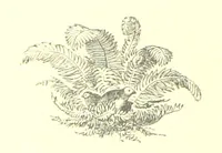 An illustration from The history of the parish and Priory of Lenton, in the county of Nottingham (1884)