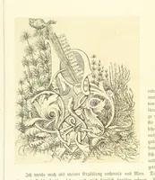 An illustration from Goethe's Italienische Reise. Mit 318 Illustrationen ... von J. von Kahle. Eingeleitet von ... H. Düntzer (1885)