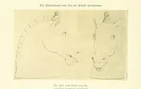 Picture 143 of 306 from Goethe's Italienische Reise. Mit 318 Illustrationen ... von J. von Kahle. Eingeleitet von ... H. Düntzer (1885), leaf 242