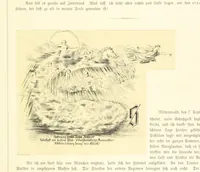 An illustration from Goethe's Italienische Reise. Mit 318 Illustrationen ... von J. von Kahle. Eingeleitet von ... H. Düntzer (1885)