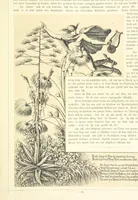 An illustration from Goethe's Italienische Reise. Mit 318 Illustrationen ... von J. von Kahle. Eingeleitet von ... H. Düntzer (1885)