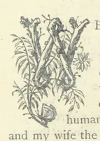 An illustration from The vicar of Wakefield, and other works ... With introduction notes and a life of Oliver Goldsmith, by John Francis Waller (1877)