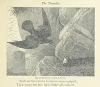 An illustration from The vicar of Wakefield, and other works ... With introduction notes and a life of Oliver Goldsmith, by John Francis Waller (1877)