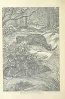 An illustration from The vicar of Wakefield, and other works ... With introduction notes and a life of Oliver Goldsmith, by John Francis Waller (1877)