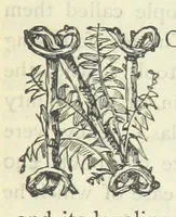 An illustration from The vicar of Wakefield, and other works ... With introduction notes and a life of Oliver Goldsmith, by John Francis Waller (1885)