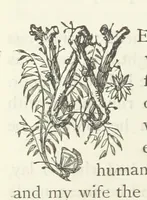 An illustration from The vicar of Wakefield, and other works ... With introduction notes and a life of Oliver Goldsmith, by John Francis Waller (1885)