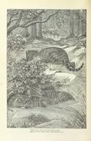 An illustration from The vicar of Wakefield, and other works ... With introduction notes and a life of Oliver Goldsmith, by John Francis Waller (1885)