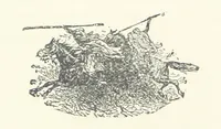 An illustration from Greater Love. By A. Gordon. And other stories by R. Barr, E. Halsted, etc (1894)