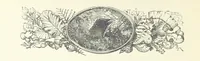 An illustration from Greater Love. By A. Gordon. And other stories by R. Barr, E. Halsted, etc (1894)