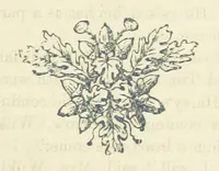 An illustration from Harry Dale's Jockey “Wild Rose.” Her Life and Adventures (1893)