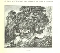 An illustration from La Suisse pittoresque (1882)