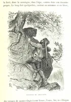 An illustration from La Suisse pittoresque (1882)