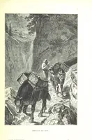 An illustration from La Suisse pittoresque (1882)