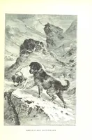 An illustration from La Suisse pittoresque (1882)