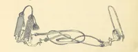 An illustration from Travels in Tunisia. With a glossary, a map, a bibliography, and fifty illustrations (1887)