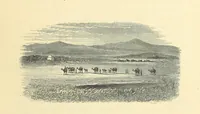 An illustration from Travels in Tunisia. With a glossary, a map, a bibliography, and fifty illustrations (1887)