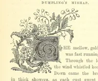 Picture 17 of 32 from Ailie Stuart: a story of school life. [With illustrations (1873), leaf 117