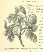 An illustration from Ailie Stuart: a story of school life. [With illustrations (1873)