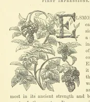 An illustration from Ailie Stuart: a story of school life. [With illustrations (1873)