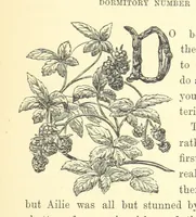 An illustration from Ailie Stuart: a story of school life. [With illustrations (1873)