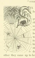 An illustration from Ailie Stuart: a story of school life. [With illustrations (1873)