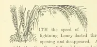 An illustration from Ailie Stuart: a story of school life. [With illustrations (1873)