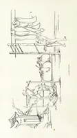 Picture 46 of 84 from China: a history of the laws, manners, and customs of the people. ... Edited by W. G. Gregor. With ... illustrations (1878), leaf 256