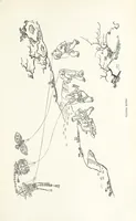 Picture 64 of 84 from China: a history of the laws, manners, and customs of the people. ... Edited by W. G. Gregor. With ... illustrations (1878), leaf 351