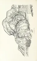 Picture 72 of 84 from China: a history of the laws, manners, and customs of the people. ... Edited by W. G. Gregor. With ... illustrations (1878), leaf 402