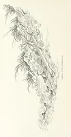 Picture 83 of 84 from China: a history of the laws, manners, and customs of the people. ... Edited by W. G. Gregor. With ... illustrations (1878), leaf 478