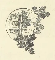 An illustration from Mrs. Romaine's Household (1891)