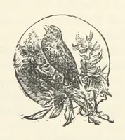 An illustration from Mrs. Romaine's Household (1891)