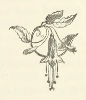 An illustration from Mrs. Romaine's Household (1891)