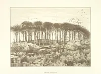 Picture 34 of 35 from Views & Reminiscences of Old Greenock. [With letterpress by A. Williamson (1891), leaf 139