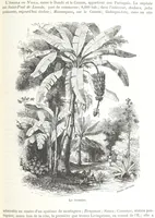 An illustration from Géographie générale; physique, politique et économique. ... Avec ... cartes ... gravures, etc (1876)