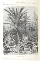 An illustration from Géographie générale; physique, politique et économique. ... Avec ... cartes ... gravures, etc (1876)
