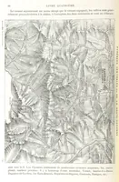 An illustration from Géographie générale; physique, politique et économique. ... Avec ... cartes ... gravures, etc (1876)