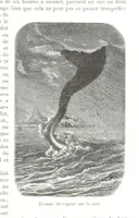 An illustration from Géographie générale; physique, politique et économique. ... Avec ... cartes ... gravures, etc (1876)