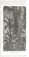 An illustration from Géographie générale; physique, politique et économique. ... Avec ... cartes ... gravures, etc (1876)