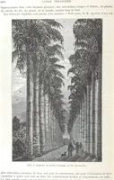 An illustration from Géographie générale; physique, politique et économique. ... Avec ... cartes ... gravures, etc (1876)