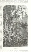 An illustration from Géographie générale; physique, politique et économique. ... Avec ... cartes ... gravures, etc (1876)