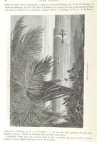 An illustration from Géographie générale; physique, politique et économique. ... Avec ... cartes ... gravures, etc (1876)