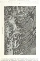 An illustration from Géographie générale; physique, politique et économique. ... Avec ... cartes ... gravures, etc (1876)