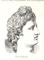 An illustration from Géographie générale; physique, politique et économique. ... Avec ... cartes ... gravures, etc (1876)