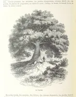An illustration from Géographie générale; physique, politique et économique. ... Avec ... cartes ... gravures, etc (1876)