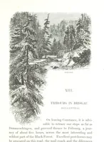 Picture 36 of 74 from A Summer at Baden-Baden ... illustrated by T. Johannot, E. Lamy, etc (1853), leaf 175