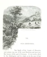 Picture 19 of 74 from A Summer at Baden-Baden ... illustrated by T. Johannot, E. Lamy, etc (1853), leaf 79