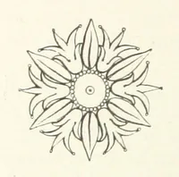 An illustration from Memorials of Lostwithiel [and of Restormell]: collected and contributed. Taken from the writings of Leland, Carew ... and others. [The preface signed: F. M. H., i.e. F. M. Hext. With MS. insertions (1891)